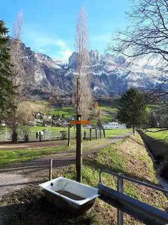 Gestüt Rütimann