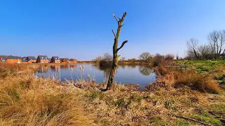 Photo de CHILTERNS NATURE - OAKFIELD LAKE NATURE RESERVE