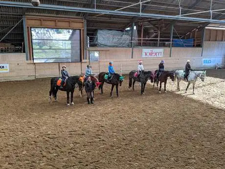 Reitsportzentrum Brunegg GmbH