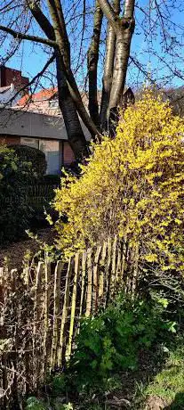 Jardin Des 2 Cerisiers