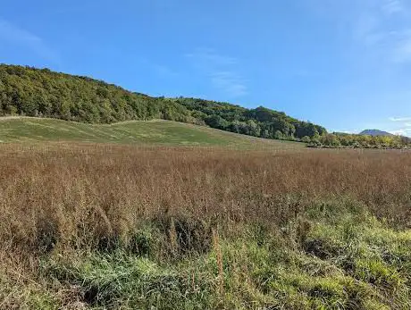 Parco naturale