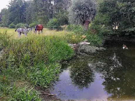 Photo de Heermeerspark