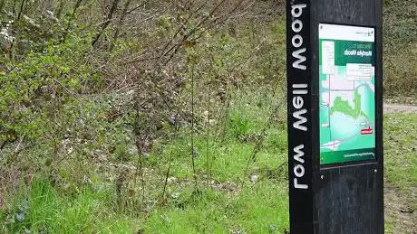 Photo de Low Well Wood - Mardyke Woods