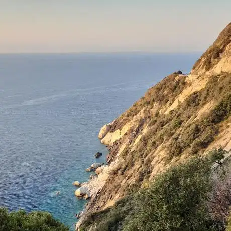 Punto di vista