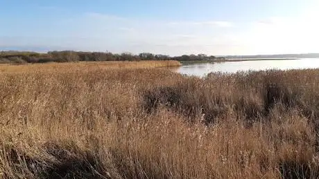 Lytchett Bay Nature Reserve