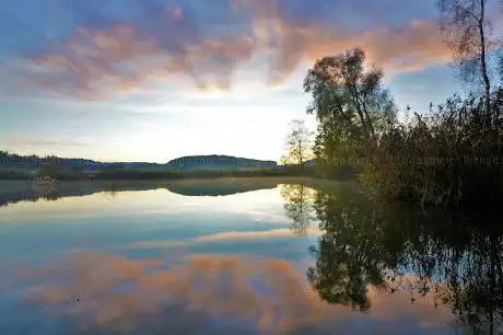 Photo de Ziegeleiweiher