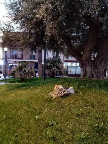 Photo de Plaza Miguel Hita
