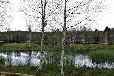 Hochmoor Les Ponts de Martel