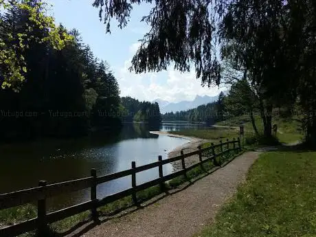 Kapfenberge
