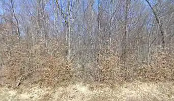 Photo de O.N.F. (Office National des Forêts)