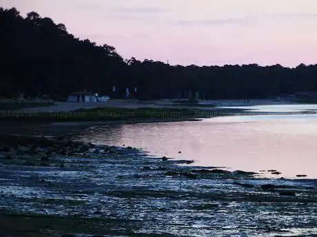 Photo de Plage du Rey