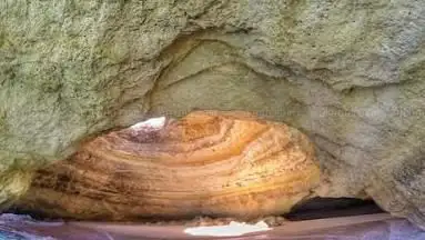 Benagil sea cave tour