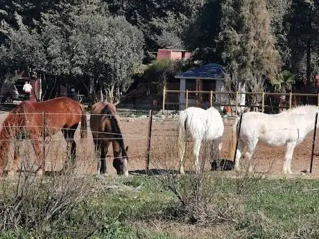 Finca El Álamo