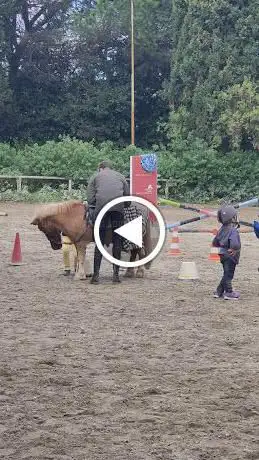 Photo de Scuola Napoletana di Equitazione