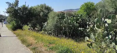 Via Modena