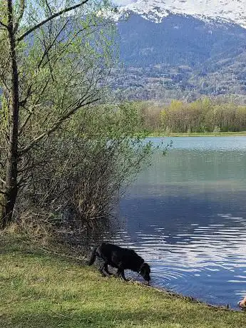 Photo de Lac Saint-Vital