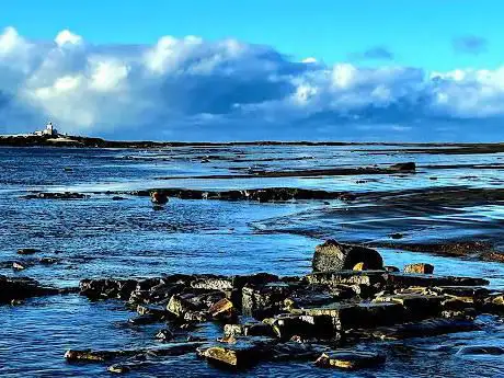 Photo de Coquet Island