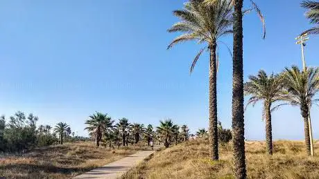 Photo de Platja del Pinar