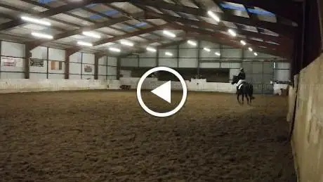 Photo de Celt n Gael Sport Horses