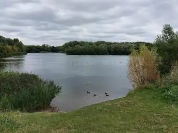 Bedfont Lakes Country Park