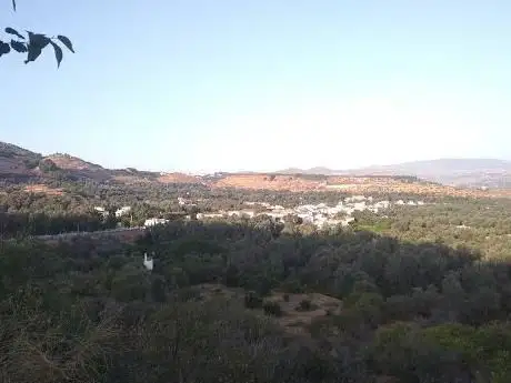 Photo de Mirador de Béznar