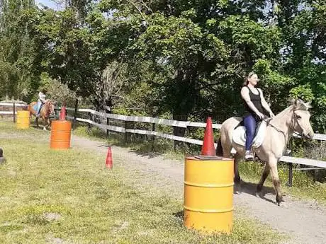 Photo de Circolo Ippico Pegaso