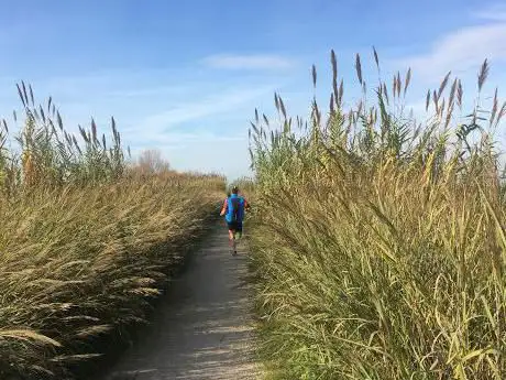 Photo de Passeggiata lungo i Fiumi Uniti
