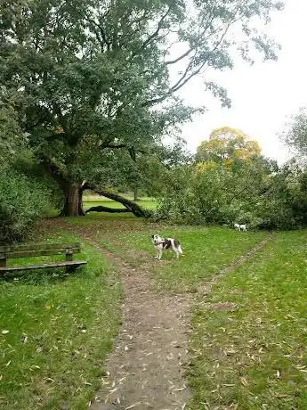 Photo de New Park