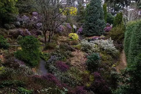 Photo de Woodland Garden  Compton Acres