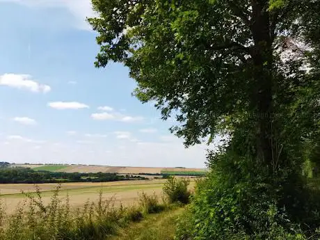 Photo de Circuit le Bois du Roi