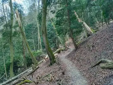 Naturreservat Unterwilerberg