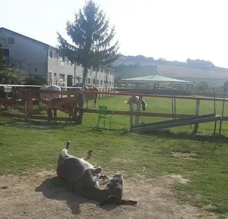 Photo de La maison dei pony ASD