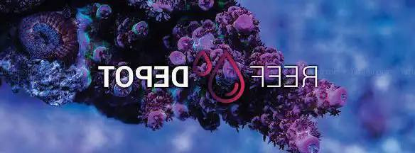 REEFDEPOT.be