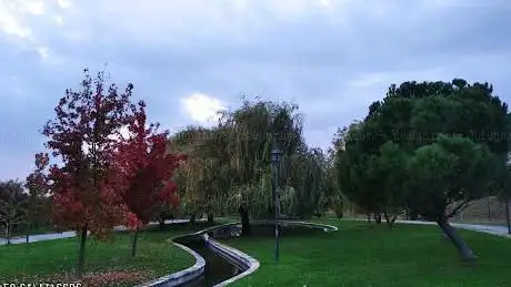 Photo de Cuña Verde de Vicálvaro Park | Zone A