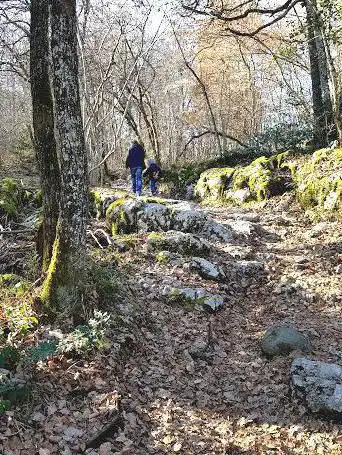 Photo de Office National des Forêts
