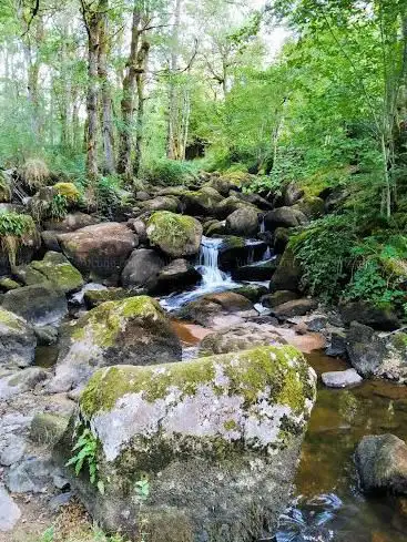 Photo de Site des Cascades du Doustre