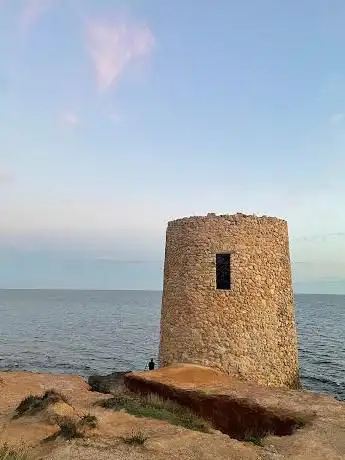 Pineta di Abbacurrente