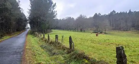 Prados verdes de Agolada