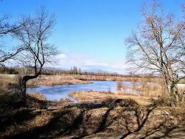 Photo de Île du Rhin - Petite Camargue Alsacienne