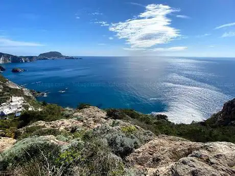 Photo de Punta incenso natural park