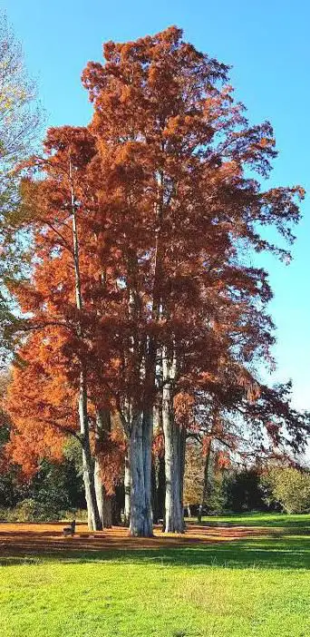 Photo de Parc Lavielle