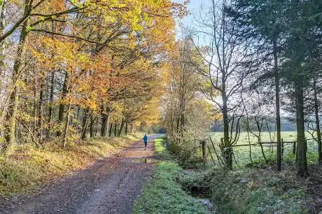 Vertbuisson hameau