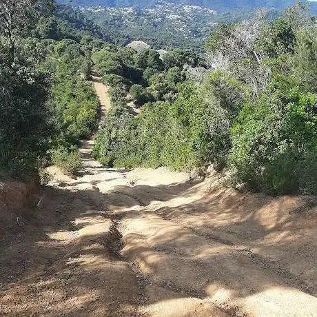 Photo de Turó de l'Home Mort
