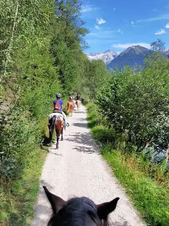 Photo de Herbert's Reitstall/maneggio