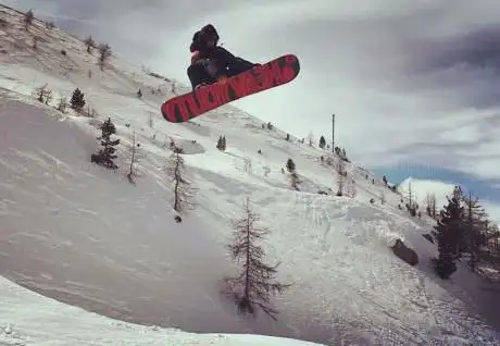Tony's Snowland
