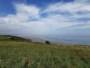 Photo de Les berniques