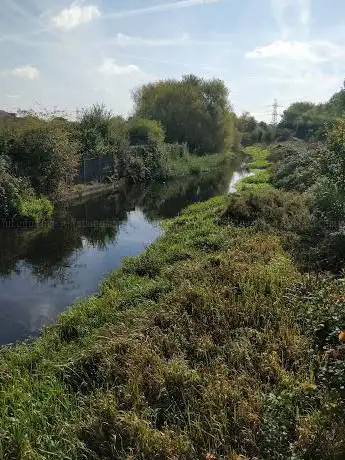 Photo de Thames Road Wetland