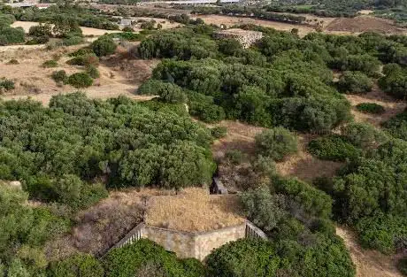 Photo de Area archeologica Is Meris