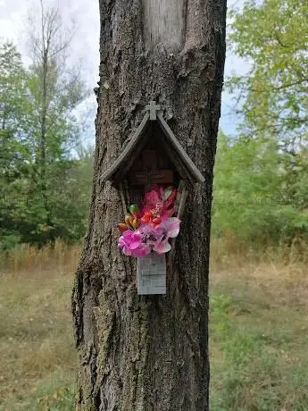 Parco Volpagana