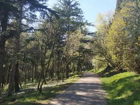 Photo de Parco Eremo (CACCIATORE)
